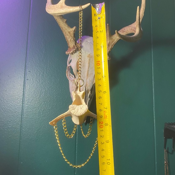 SOLD - Deer Vertebrae Bone Golden Chain Decoration - Picture 10 of 10